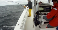 10_Contender_890 on fish credits