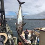 No-Time-2nd-offload-cred