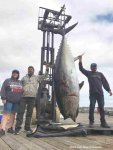 No-Time-Record-Fish_cred