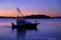 Sunrise-cred