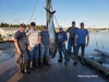 Team Mad Dad with their 477 lb tuna
