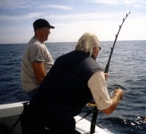 45_NSITT2009