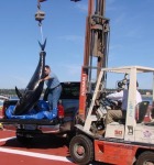 48_NSITT2009
