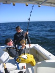 50_NSITT2009